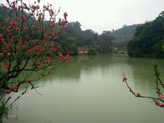 -南国桃园旅游度假区