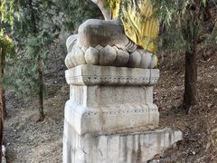 -北京十三陵国家森林公园蟒山景区