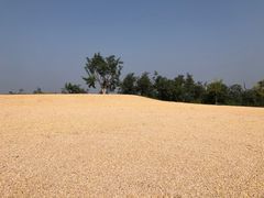 -汉长安城未央宫国家考古遗址公园