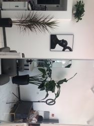 -未来美发·T1M HAIR SALON