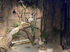 -zoonana室内动物园(东方福来德店)