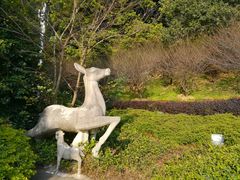 -金鸡山公园