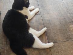 -路易时光(蕴川路店)