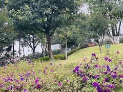 -铁山坪森林公园