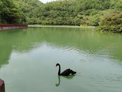 -广州白江湖森林公园