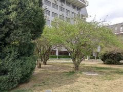 -北京大学-第一体育馆