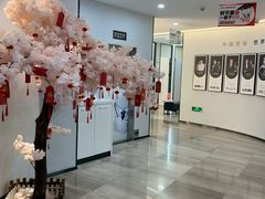 -牙博士口腔(杨浦店)