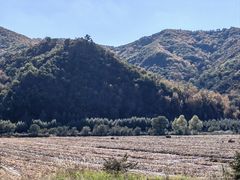 -塞罕坝国家级自然保护区