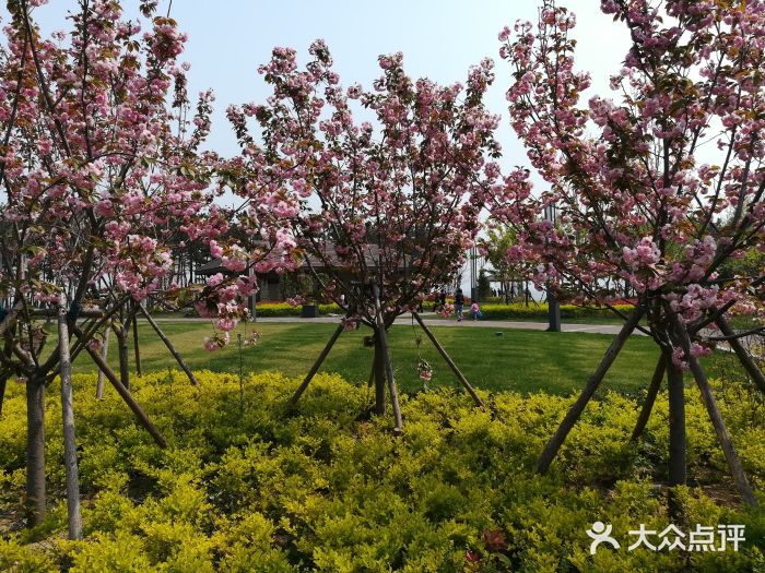 鄭州市人民公園圖片