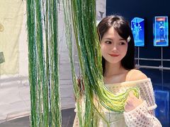 -岭南美术馆