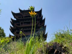 -黄鹤楼