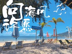 -西涌国际滨海旅游区