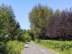 -红山国家森林公园