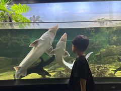 -江和美海洋公园
