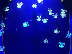 -台州海洋世界