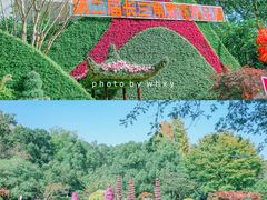 -杭州植物园