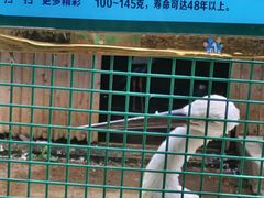 -宿豫区运河湾森林动物园