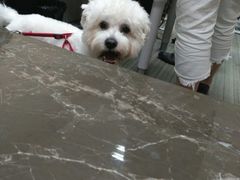 -麦当劳(华融店)