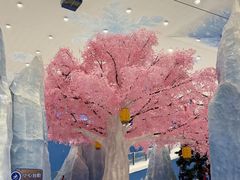 -湘江欢乐城欢乐雪域