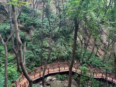 -大岭沟猕猴桃谷风景区