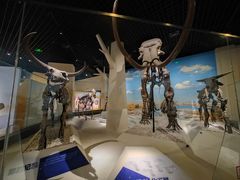 -国家自然博物馆