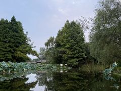 -溱湖国家湿地公园