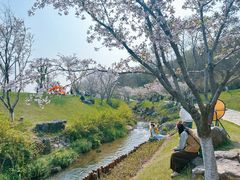 -羊山湖公园