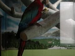 -石家庄市动物园