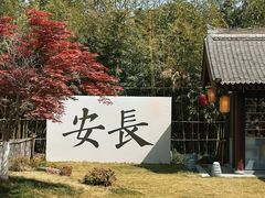 -大慈恩寺(大雁塔)