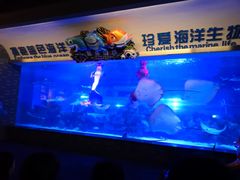 -成都浩海立方海洋公园