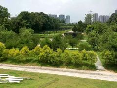 -中山市树木园