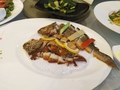 -骏莱海鲜鱼港(五角场店)