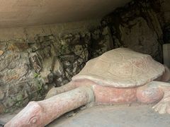 -上海佘山国家森林公园天马山园