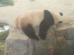 -威高广场