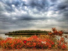 -天津东丽湖风景区