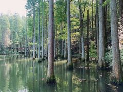 -波尔登森林公园