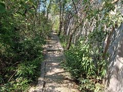 -北京十三陵国家森林公园蟒山景区