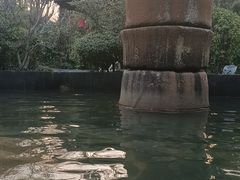 -西安国际创新人才交流中心•药浴温泉