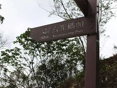 -金盆阿嬷香菇茶叶蛋(玄光店)