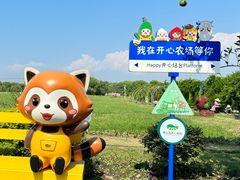 -苏州太湖西山岛开心农场