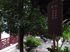 -檀园