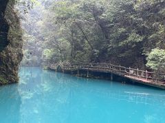 -尧治河旅游度假区