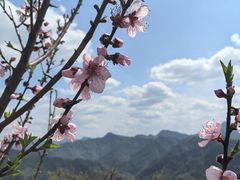 -石潭村