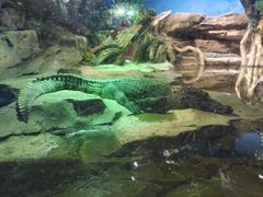 -沙沙哗啦海洋馆(华宇百花谷店)
