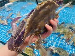 -宝燕壹号(长寿店)