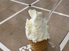 -野人先生现做冰淇淋(北京王府井东方新天地店)