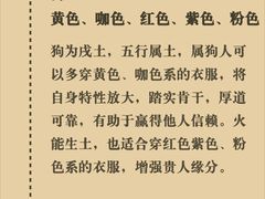 -观心实验室·心理咨询(上海旗舰店)