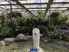 -南宫五洲植物乐园