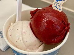 -海比甜店·意式手工冰激淋happy habit gelato