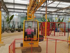 -南宫五洲植物乐园